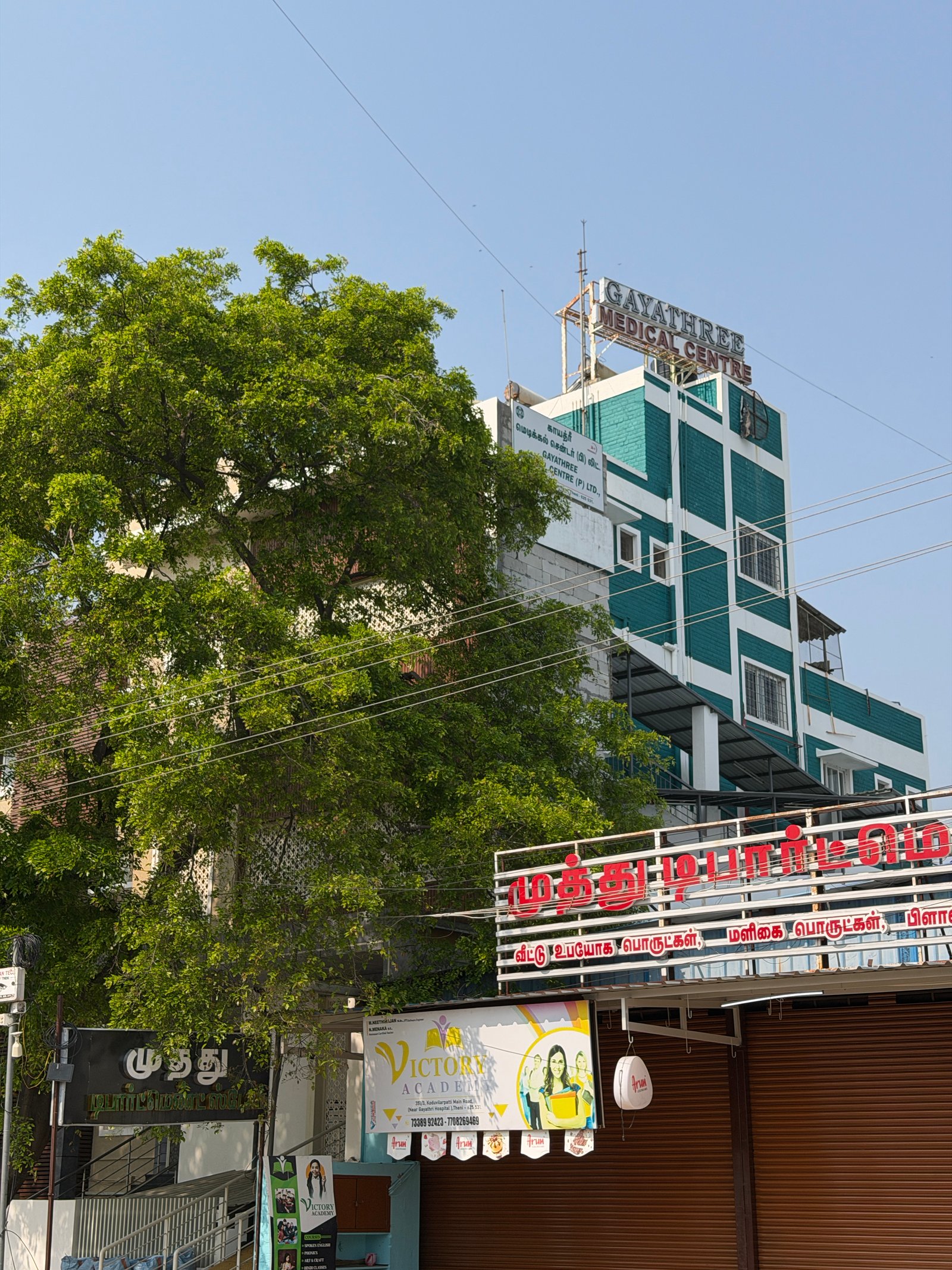 Living the life in the city